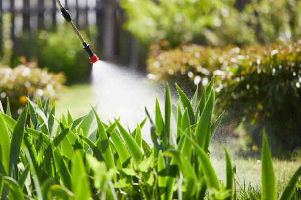 24/7 Emergency Wasp Removal experts in Chester, SC
