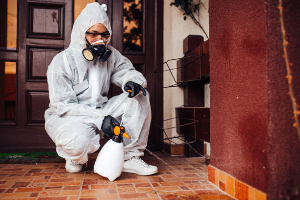 Reliable Wasp Removal contractor in Chester, SC by Show Me Pest Control